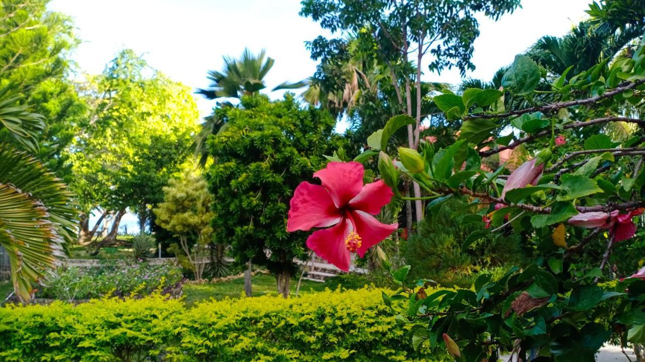 Bed and Breakfast Ancelle Cristo Re Moalboal Exterior foto