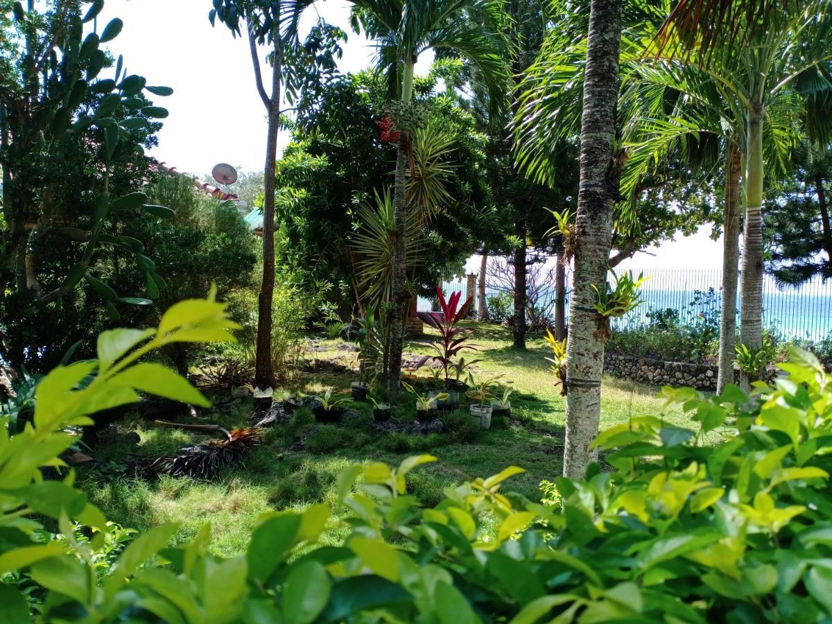 Bed and Breakfast Ancelle Cristo Re Moalboal Exterior foto