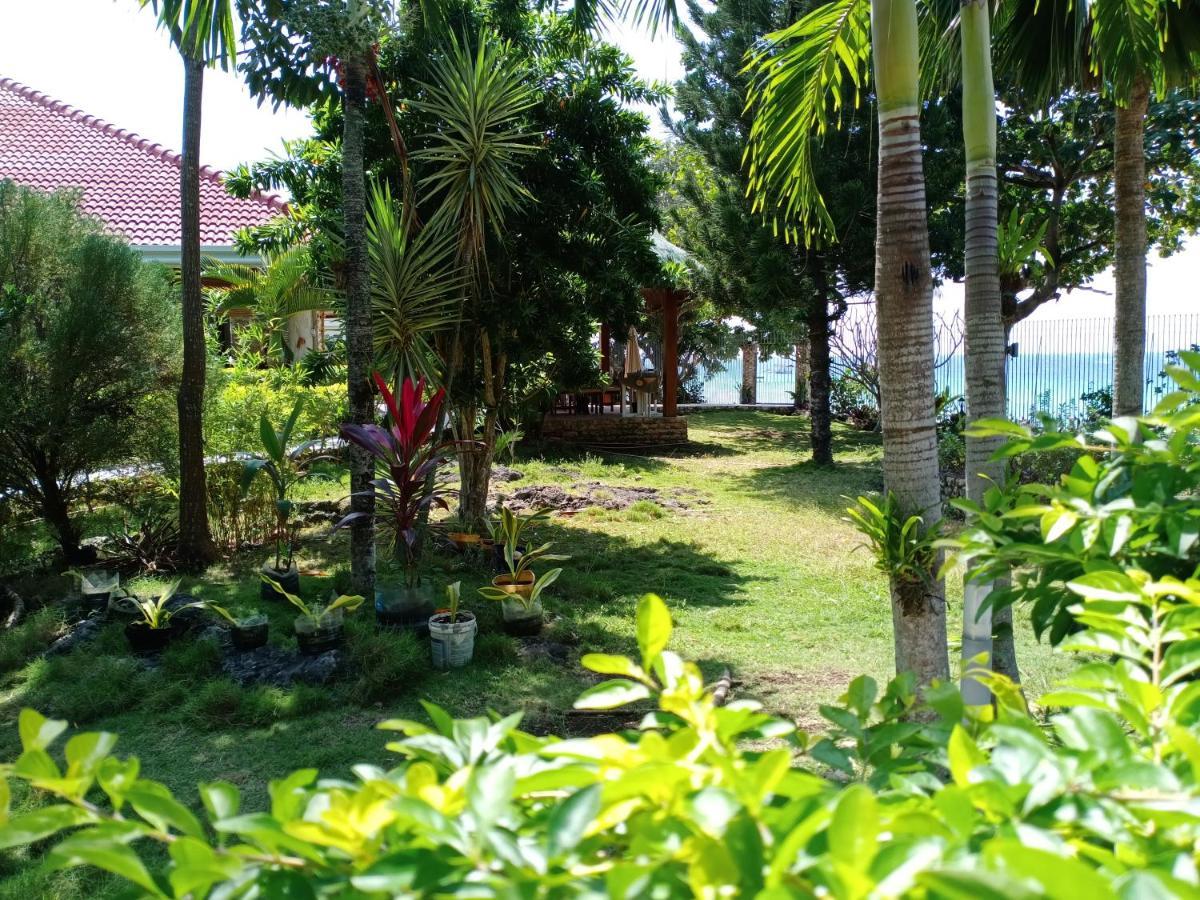Bed and Breakfast Ancelle Cristo Re Moalboal Exterior foto